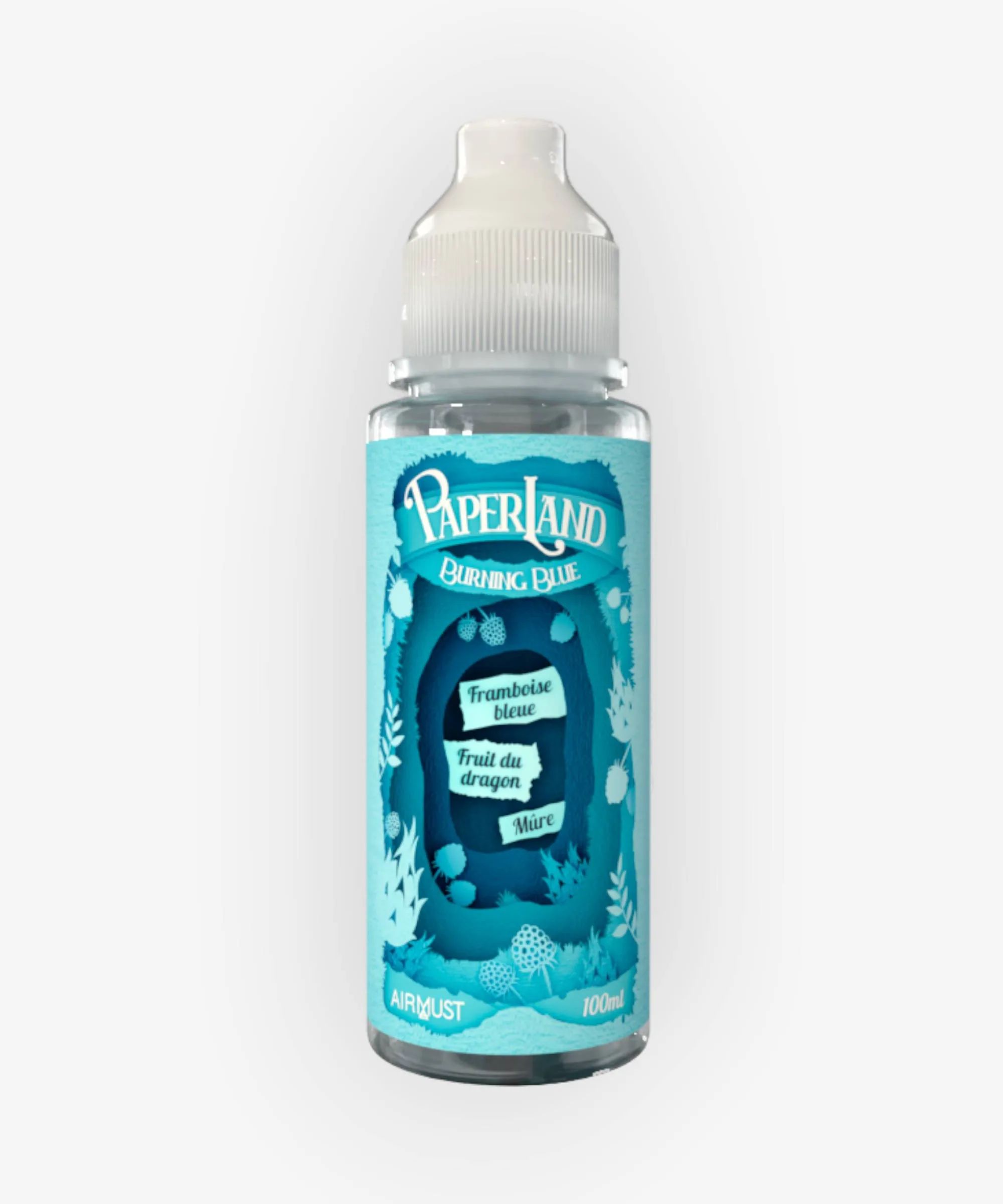 E-liquide Burning Blue 100 mL - Paperland Airmust