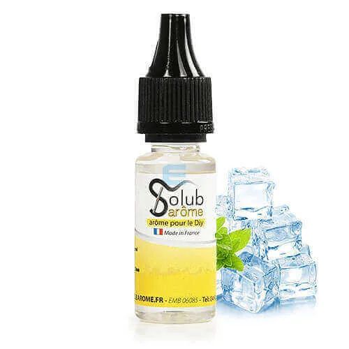 Additif WS-3 (Koolada) 10 mL - Solubarome