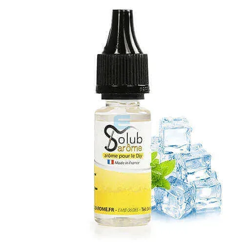 Additif WS-3 (Koolada) 10 mL - Solubarome