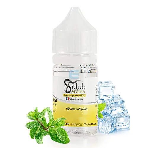 Arôme Menthe Forte Glaciale - Solubarome — vue 2
